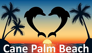 Cane Palm Beach with dolphins over sunset
